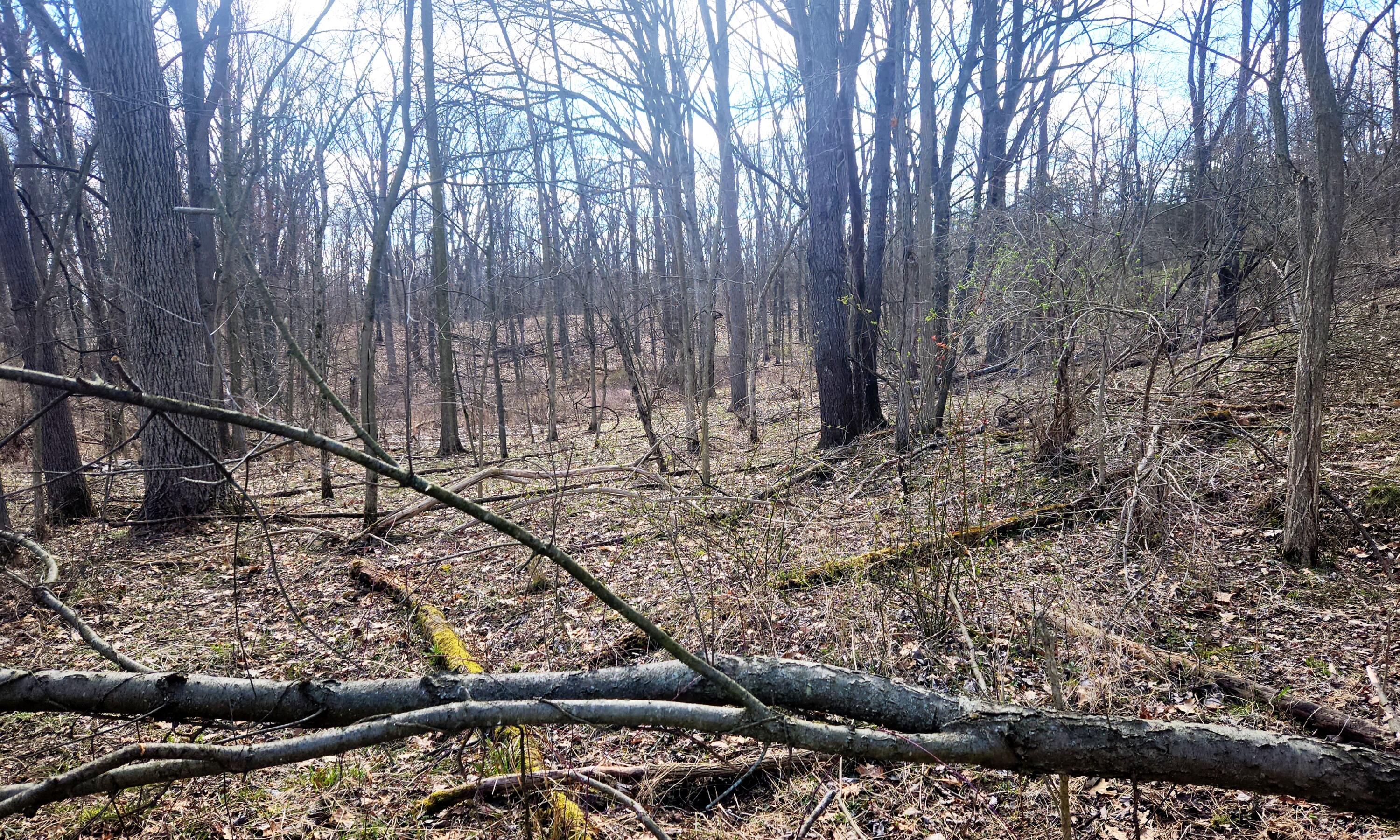 13245 Logan Road Manchester, MI 48158 - Photo 8 of 21 7Woods2