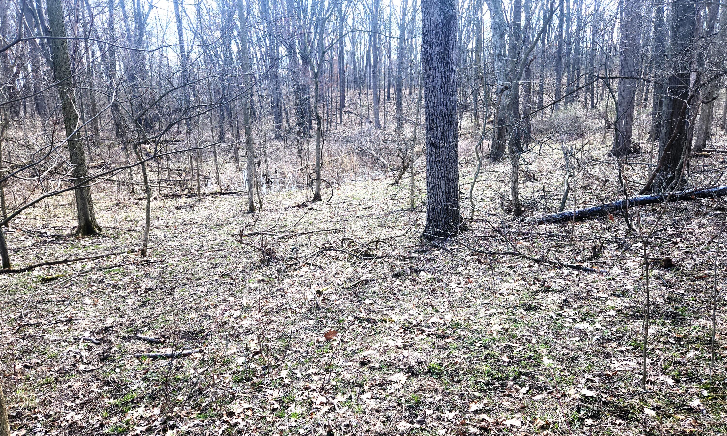 13245 Logan Road Manchester, MI 48158 - Photo 9 of 21 8Woods3