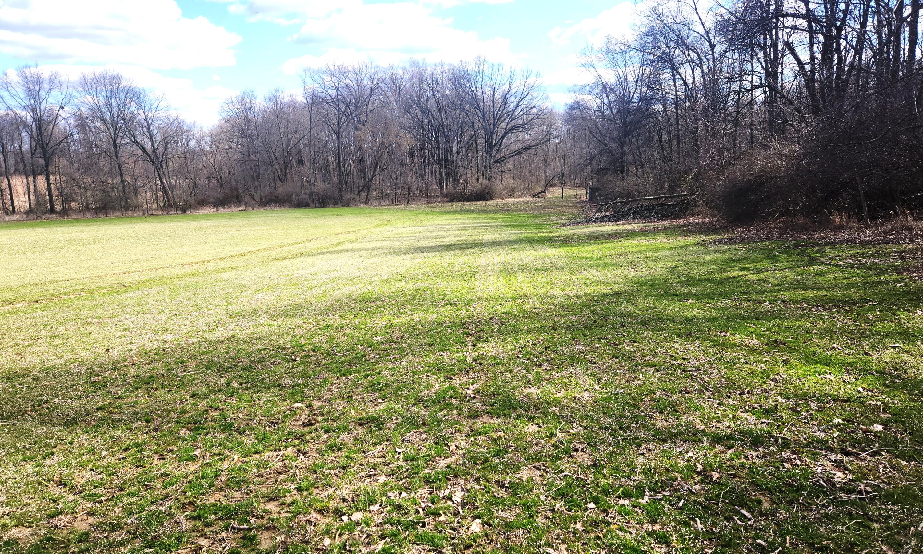 13245 Logan Road Manchester, MI 48158 - Photo 10 of 21 9Woods4