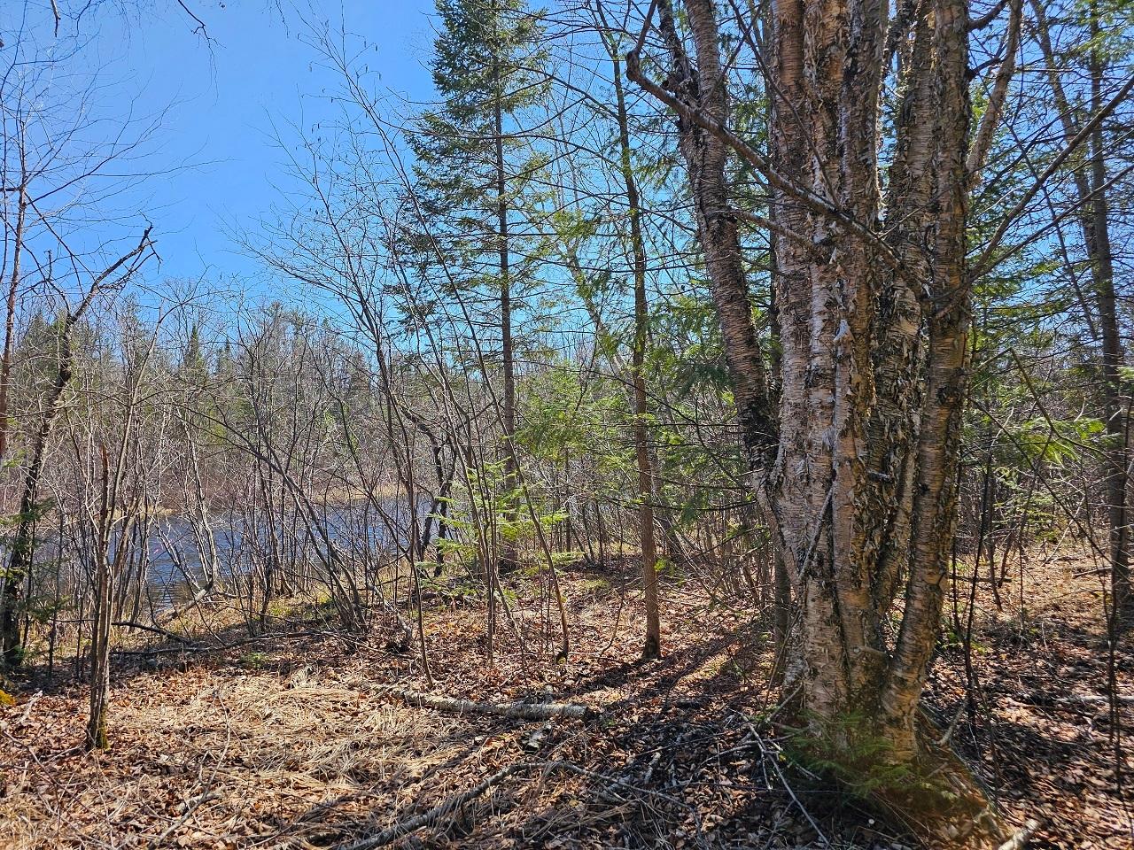Lot 9 Weber Lake Road Mercer, WI 54547 - Photo 4 of 15 Gallery Image 4