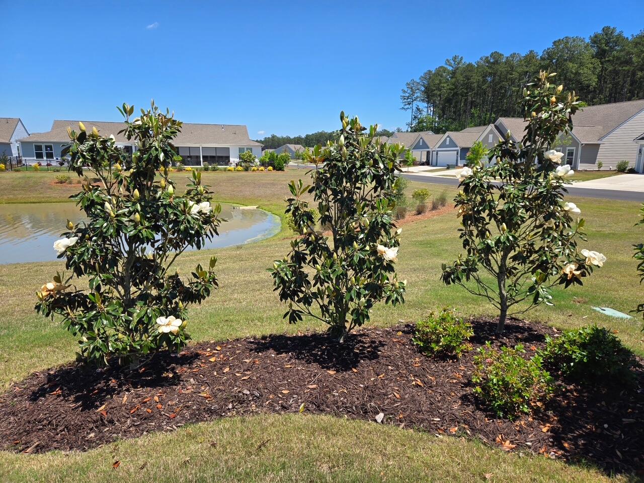 241 Garden Gate Way Summerville, SC 29486 - Photo 44 of 70