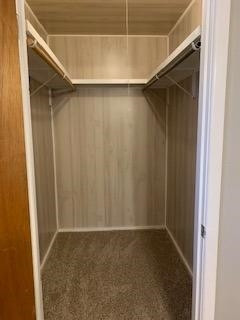 2812 56th Street Lubbock, TX 79413 - Photo 12 of 14 a view of walk in closet