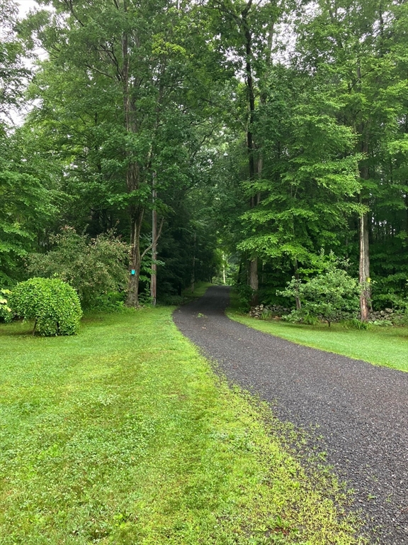 371 Walnut Hill Road Orange, MA 01364 - Photo 39 of 41 a view of a yard with a trees
