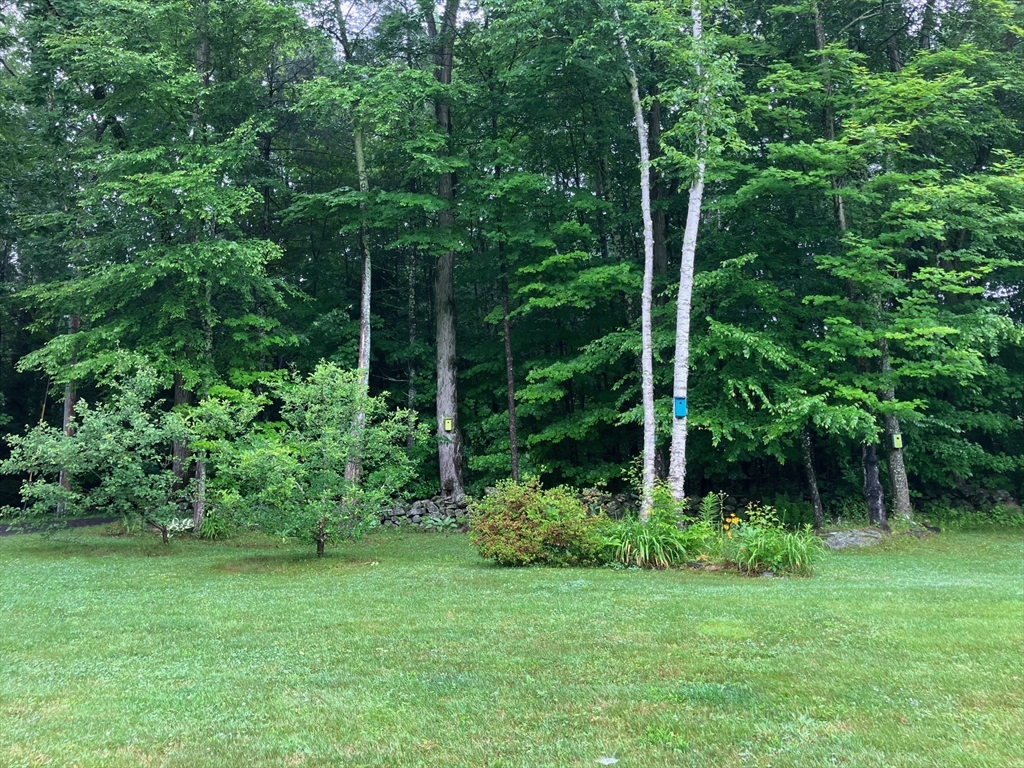 371 Walnut Hill Road Orange, MA 01364 - Photo 40 of 41 a view of a backyard with plants and large trees
