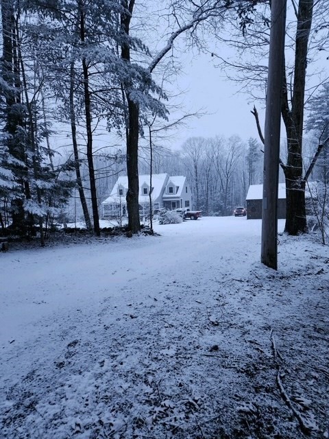 371 Walnut Hill Road Orange, MA 01364 - Photo 41 of 41 a view of dirt yard and a large tree