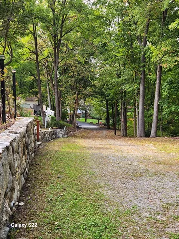 a view of a tree in a yard
