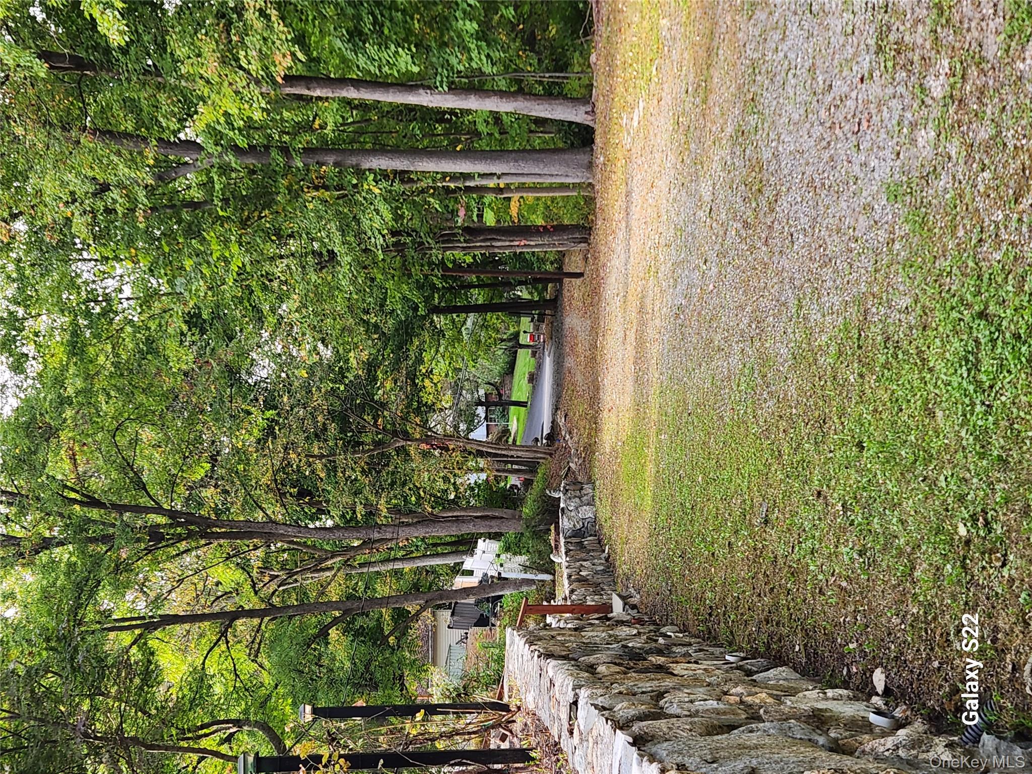 116 Croton Park Road Cortlandt Manor, NY 10567 - Photo 4 of 16 a view of a tree in a yard