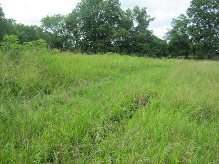 1354 Birdie Road Lawrenceburg, KY 40342 - Photo 29 of 55 Photo 29
