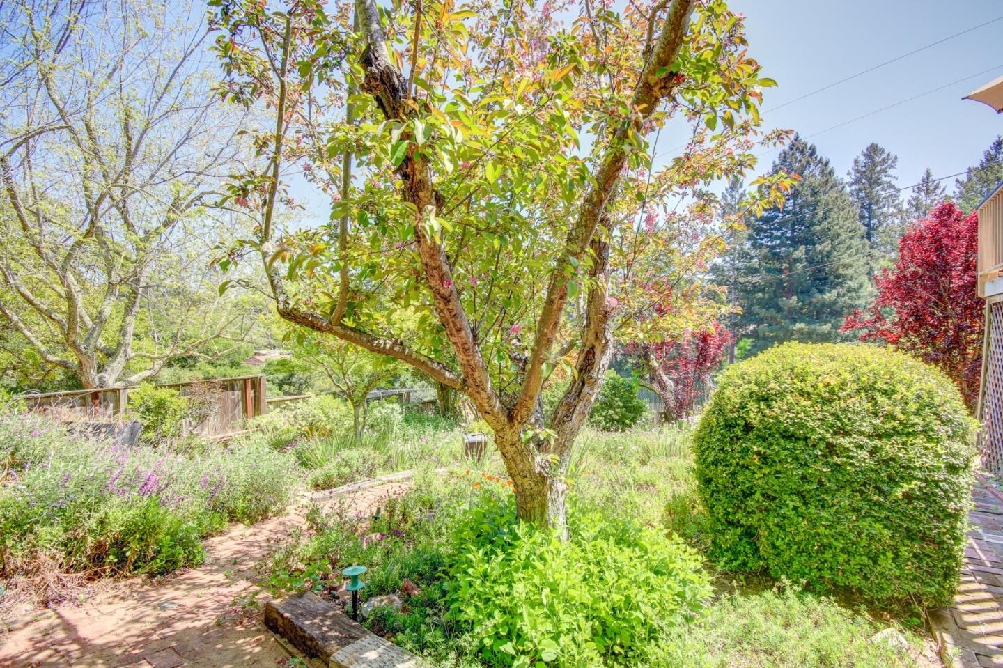 1972 Cox Road Aptos, CA 95003 - Photo 23 of 52 Gallery Image 23