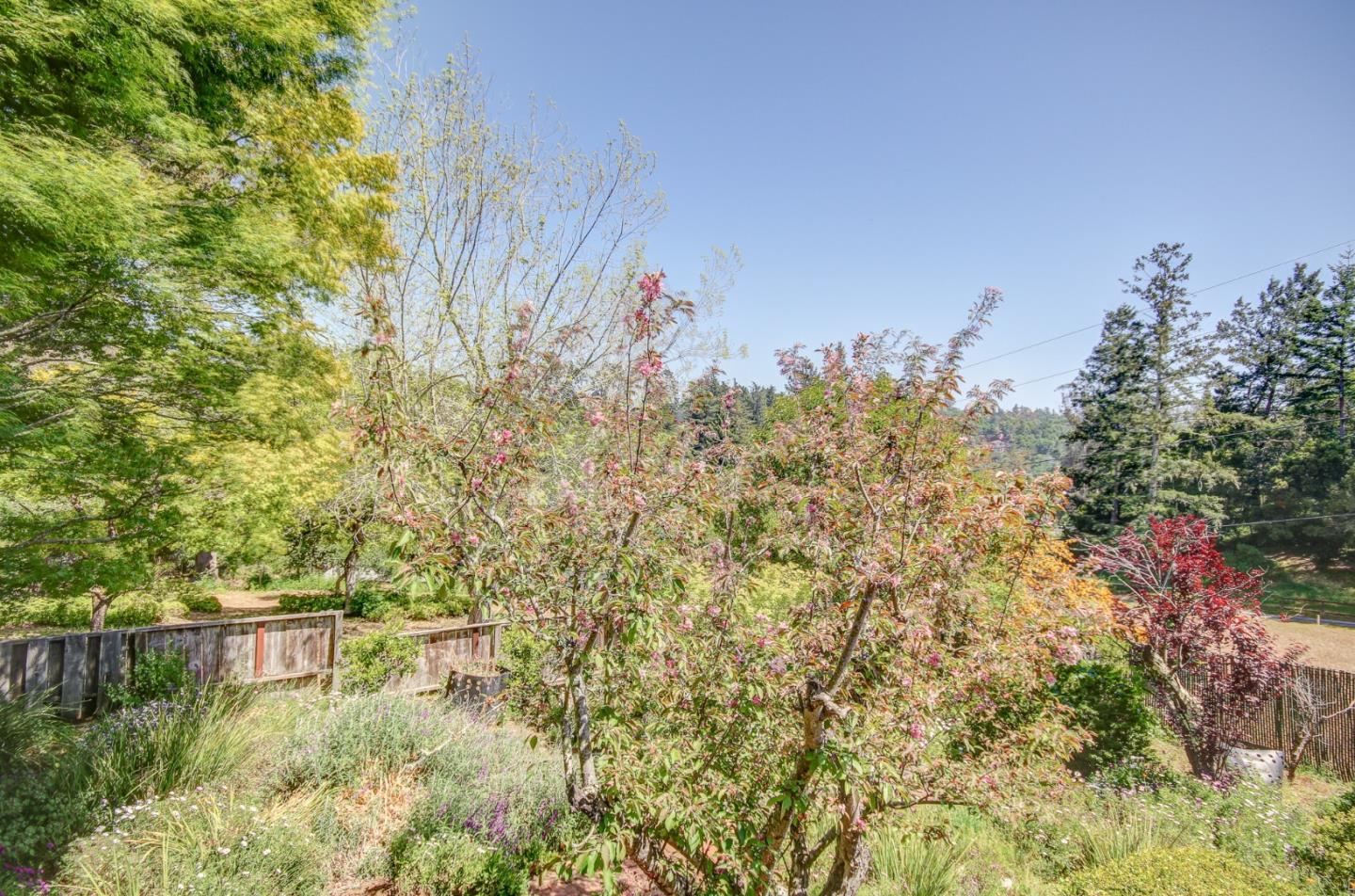 1972 Cox Road Aptos, CA 95003 - Photo 43 of 52 Gallery Image 43