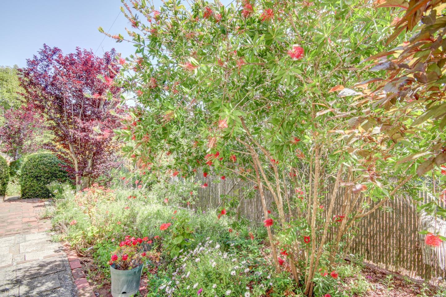 1972 Cox Road Aptos, CA 95003 - Photo 51 of 52 Gallery Image 51