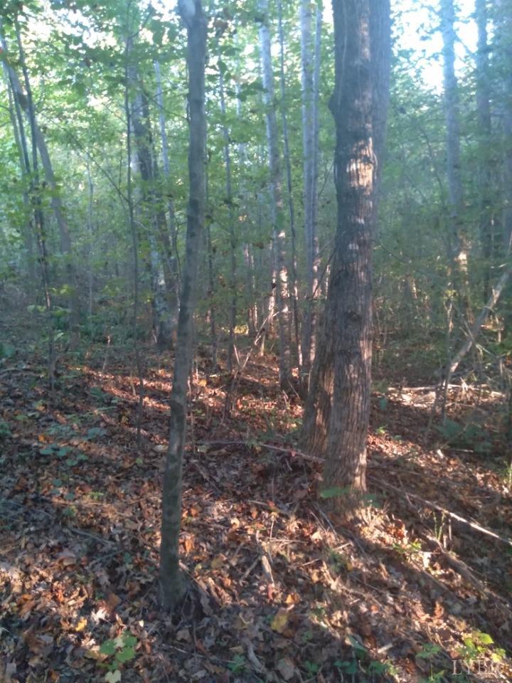 0 Long Short Road Java, VA 24565 - Photo 9 of 13 a view of a forest with lots of trees