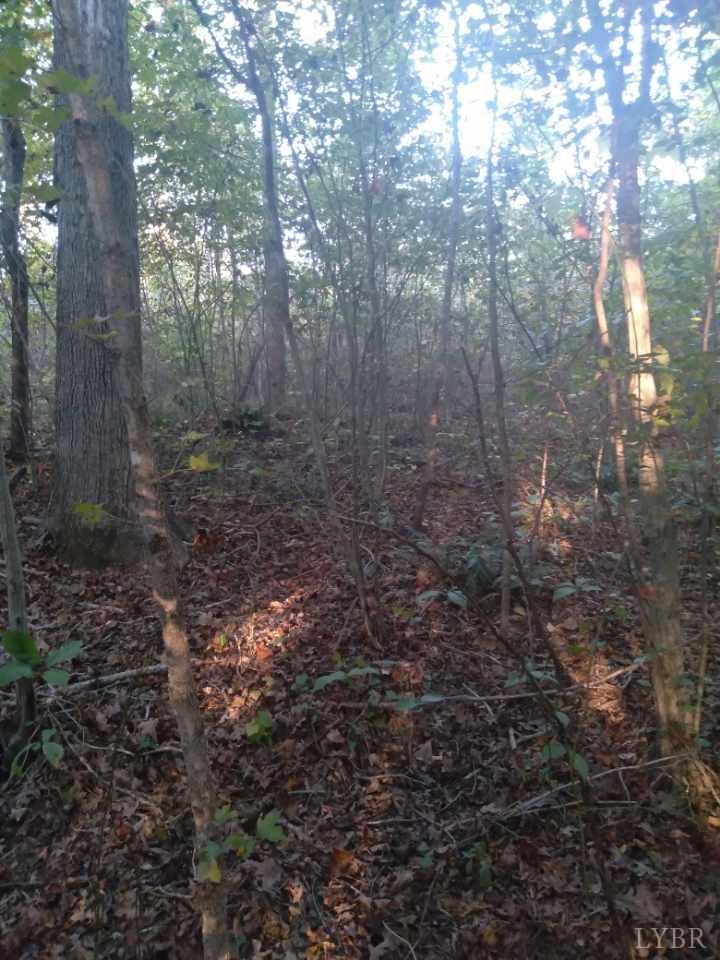 0 Long Short Road Java, VA 24565 - Photo 10 of 13 a view of a forest with trees
