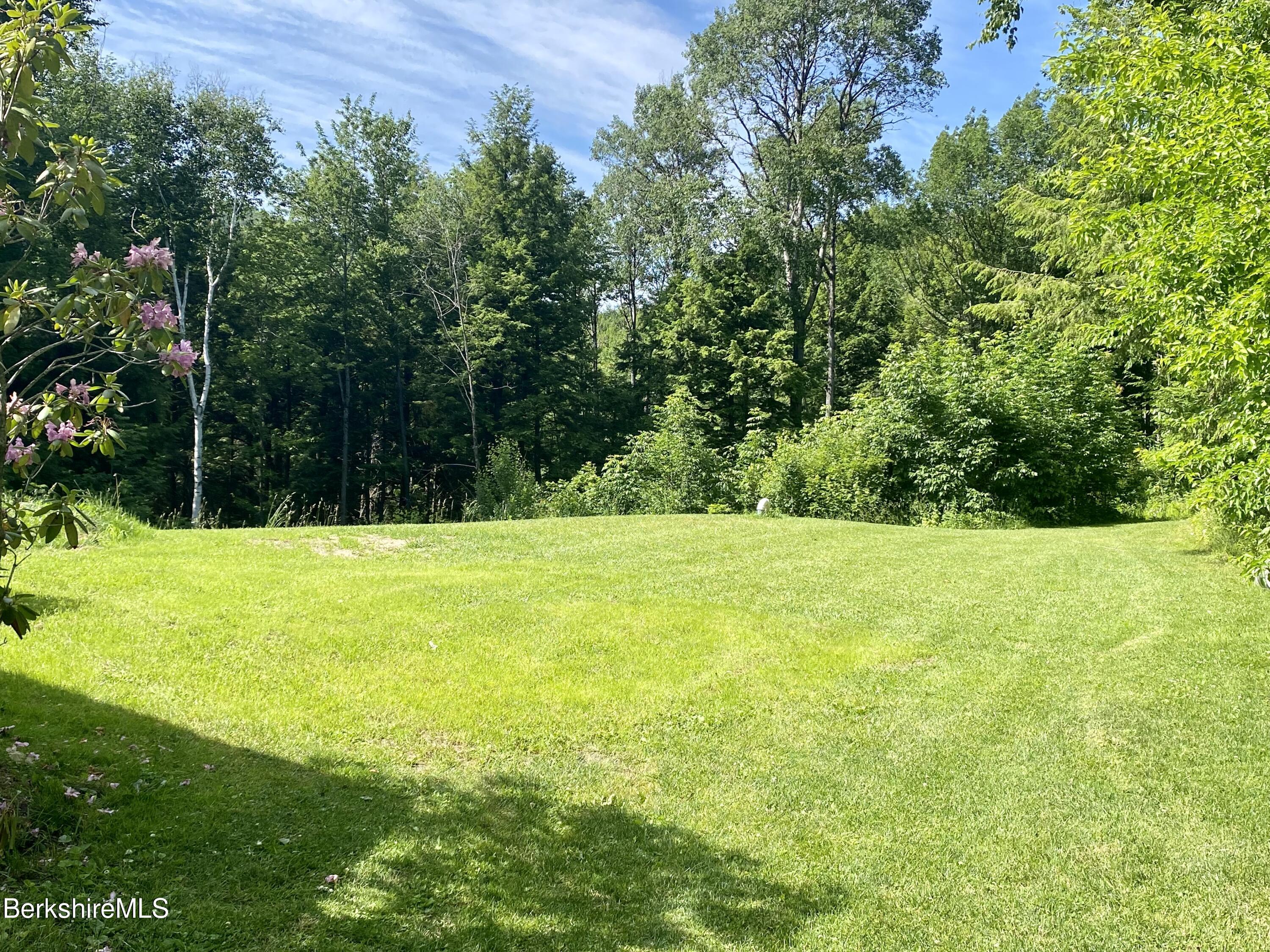 75 Roys Road New Ashford, MA 01237 - Photo 6 of 49 side yard