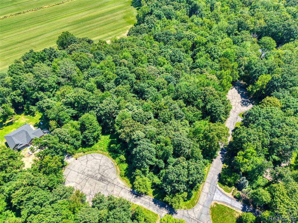 5663 Iosco Mountain Road Gregory, MI 48137 - Photo 13 of 13