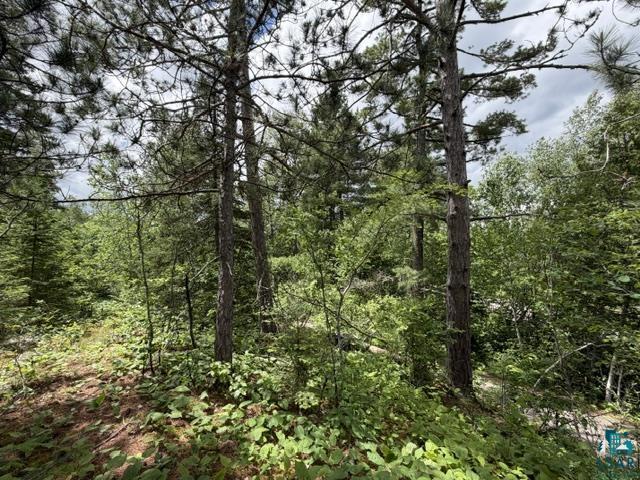 Tbd Trezona Road Ely, MN 55731 - Photo 2 of 22