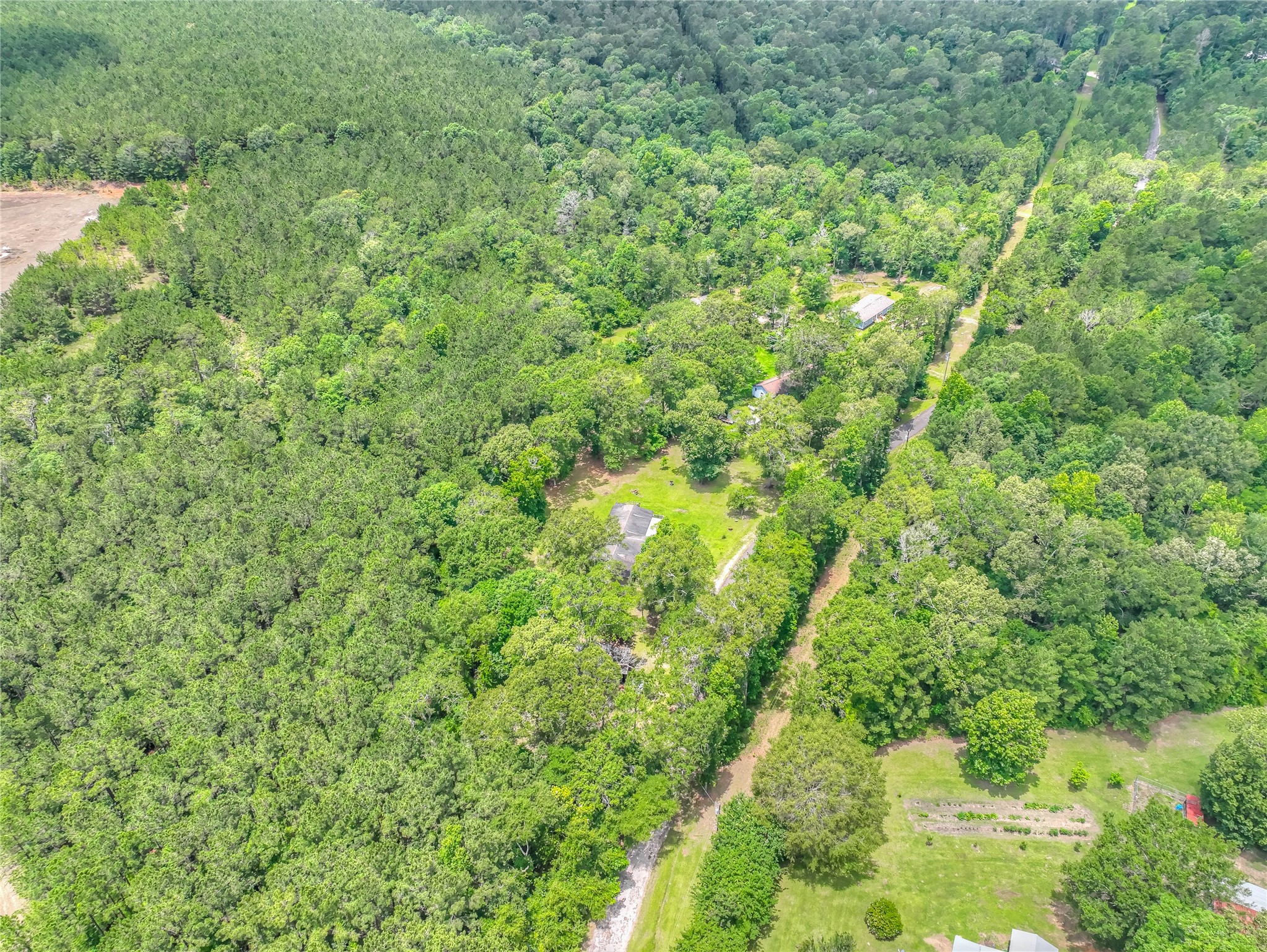 657 Parrish Road Livingston, TX 77351 - Photo 33 of 47 a view of a lush green forest