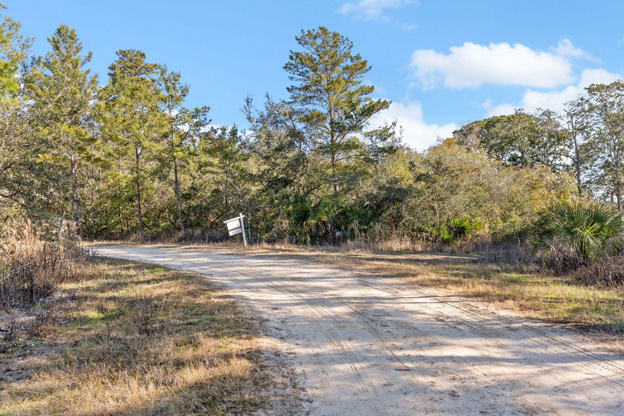 115 Kansas Street Carrabelle, FL 32322 - Photo 10 of 18