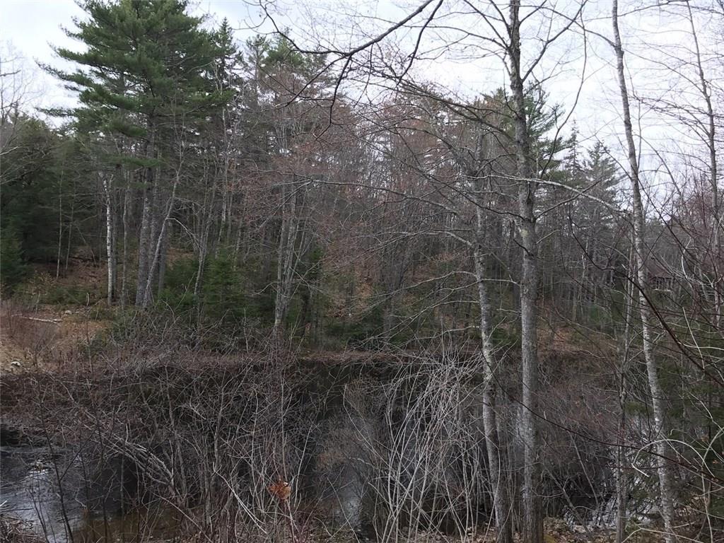 0 Partridge Lane Road Bristol, ME 04539 - Photo 3 of 4 Photo