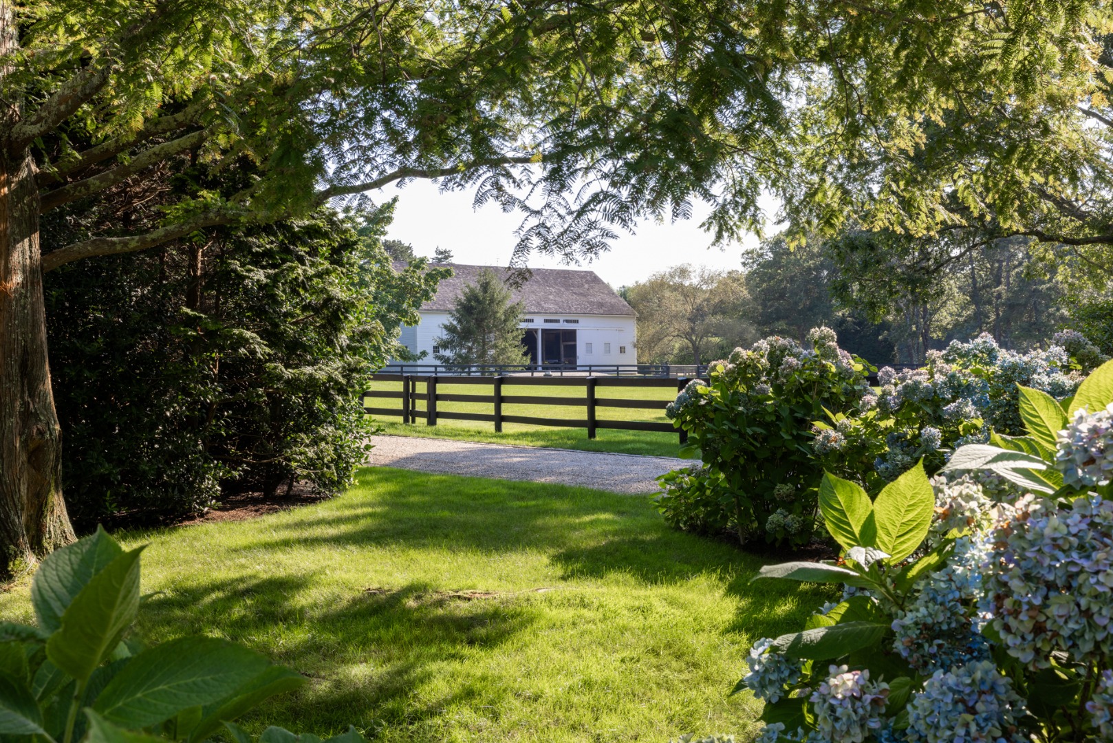 41 Cobbs Hill Road Chilmark, MA 02535 - Photo 30 of 46 a view of a park with large trees