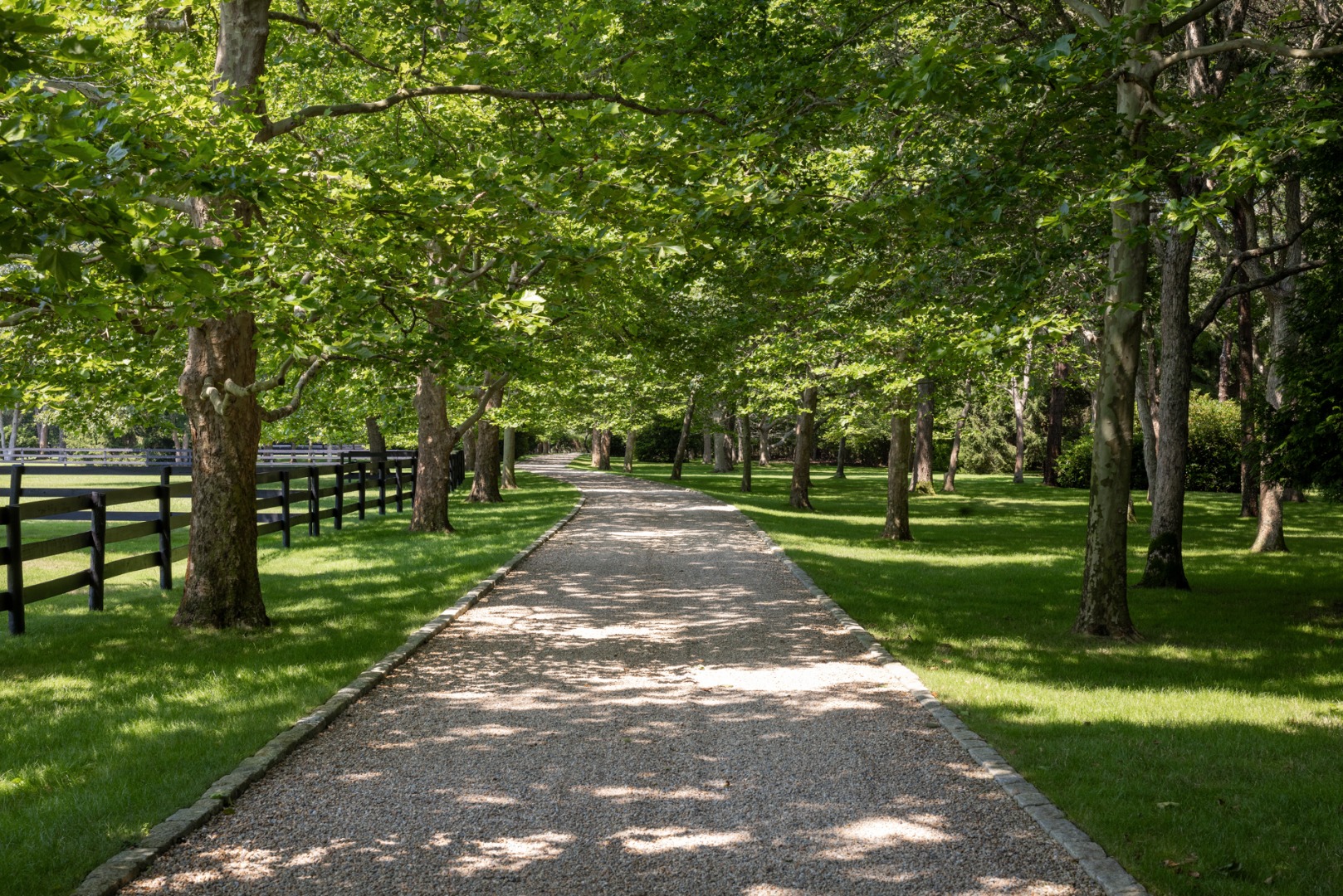 41 Cobbs Hill Road Chilmark, MA 02535 - Photo 4 of 46 a view of a park with trees