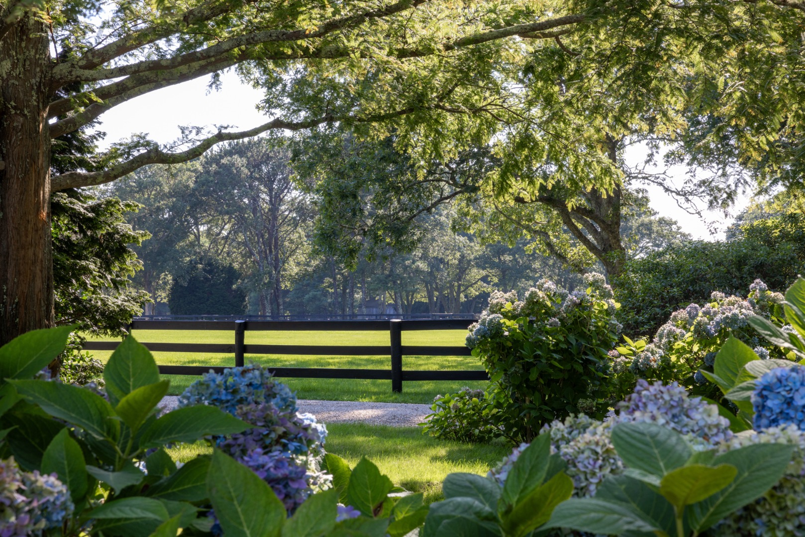 41 Cobbs Hill Road Chilmark, MA 02535 - Photo 41 of 46 a view of a garden with a tree