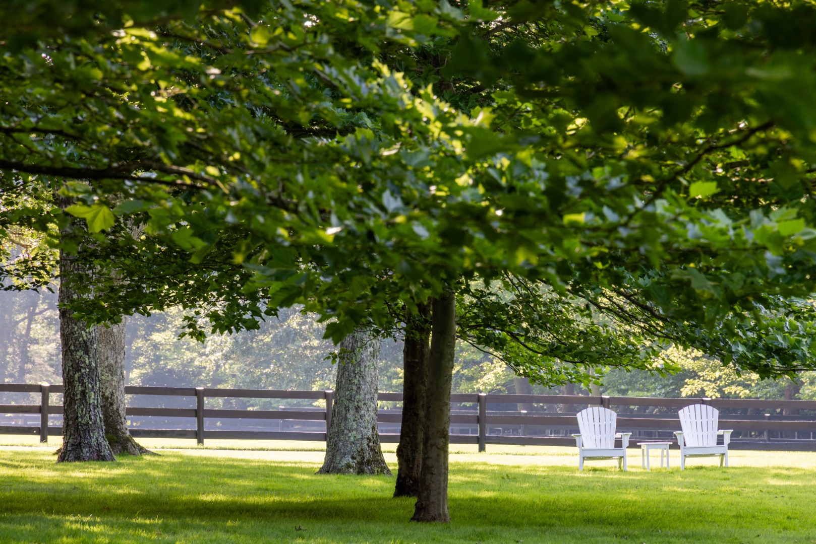 41 Cobbs Hill Road Chilmark, MA 02535 - Photo 5 of 46 a view of a big yard with large trees