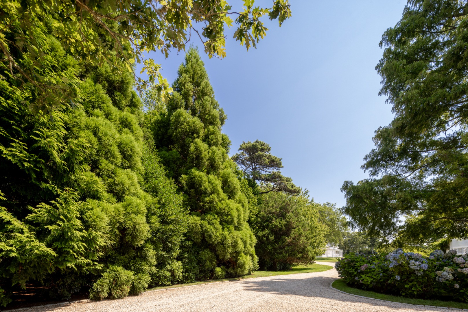 41 Cobbs Hill Road Chilmark, MA 02535 - Photo 6 of 46 a view of a garden