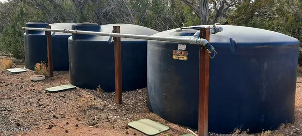 a view of a dry yard with trees