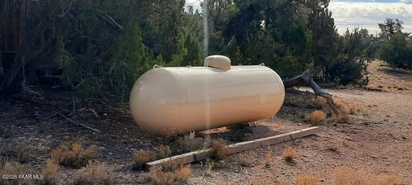 a view of a yard with plants and a tree