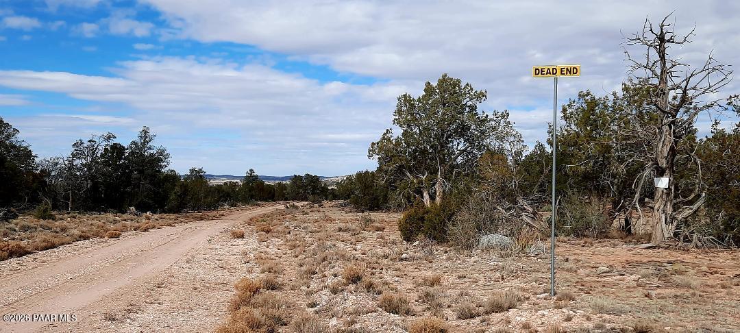 36875 Aventura Nueva Road Seligman, AZ 86337 - Photo 22 of 23 SRV thumbnail (28)