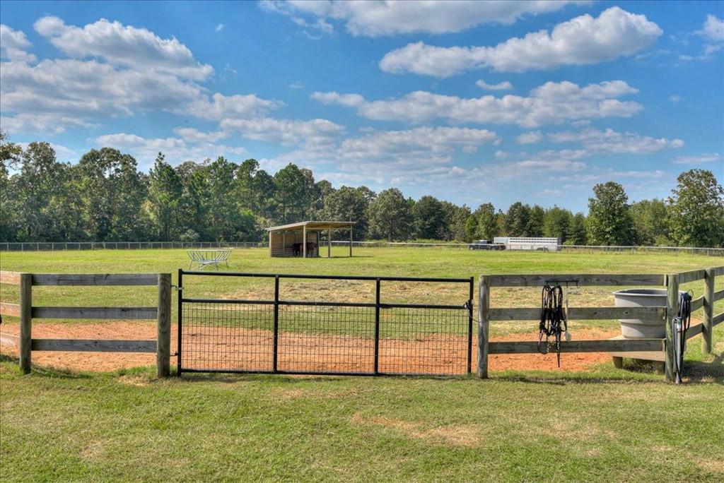 348 Burkelo Road Wagener, SC 29164 - Photo 24 of 57