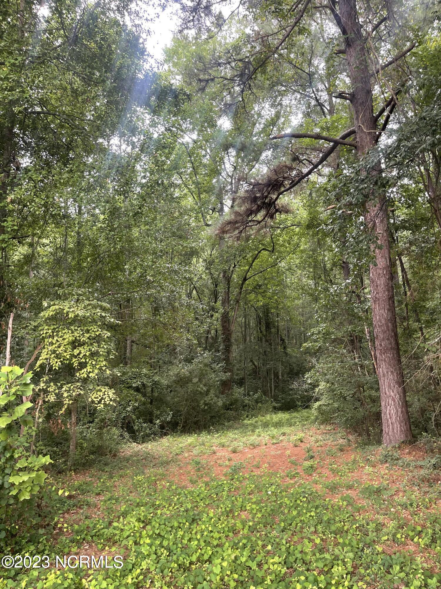 Tbd Rice Street Hamlet, NC 28345 - Photo 5 of 10 368C3D0E-0533-4112-BE97-FE6D0B3B3195