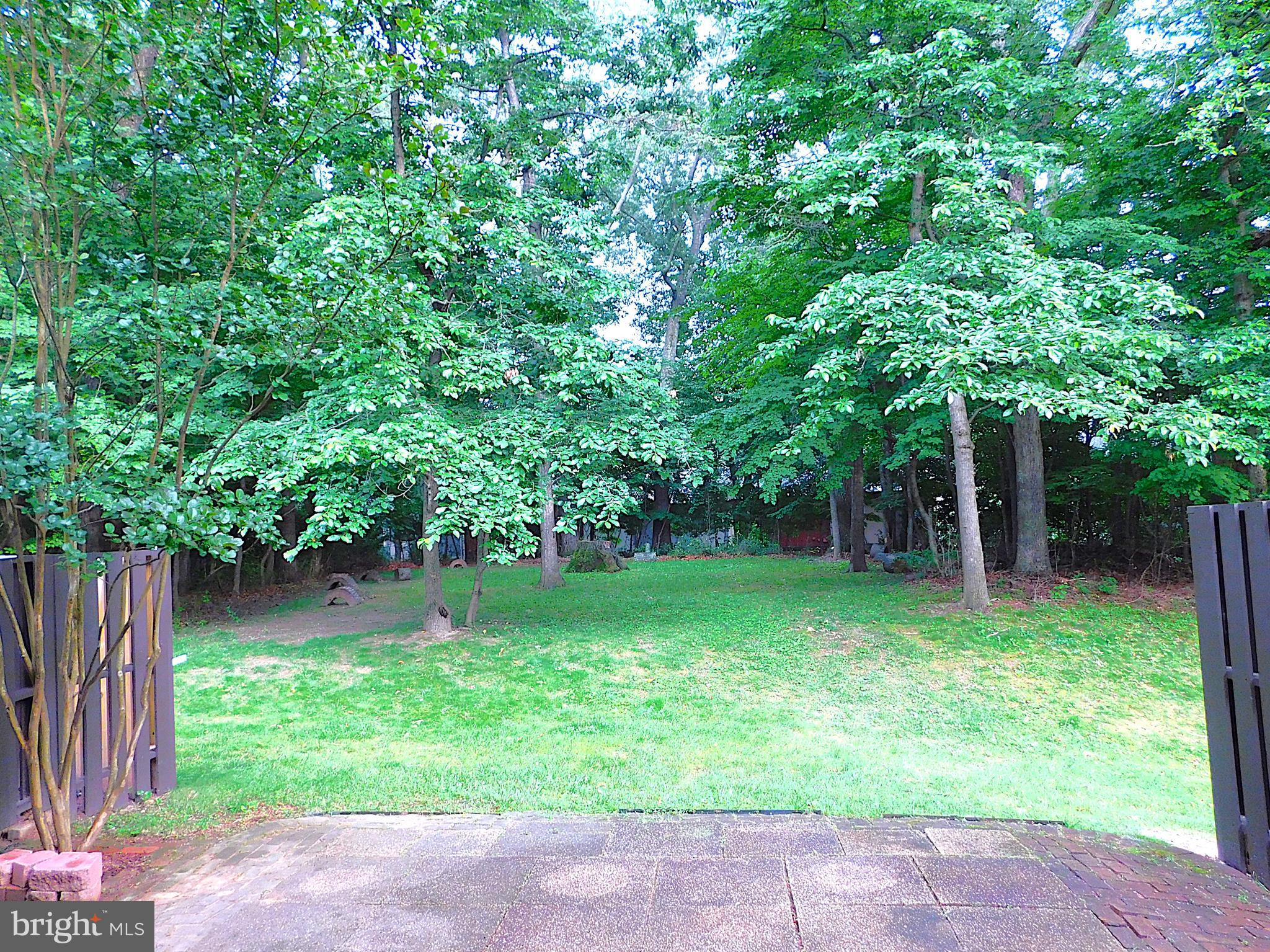 2241 Cartwright Place Reston, VA 20191 - Photo 39 of 40 Tranquil, private view of trees in common area