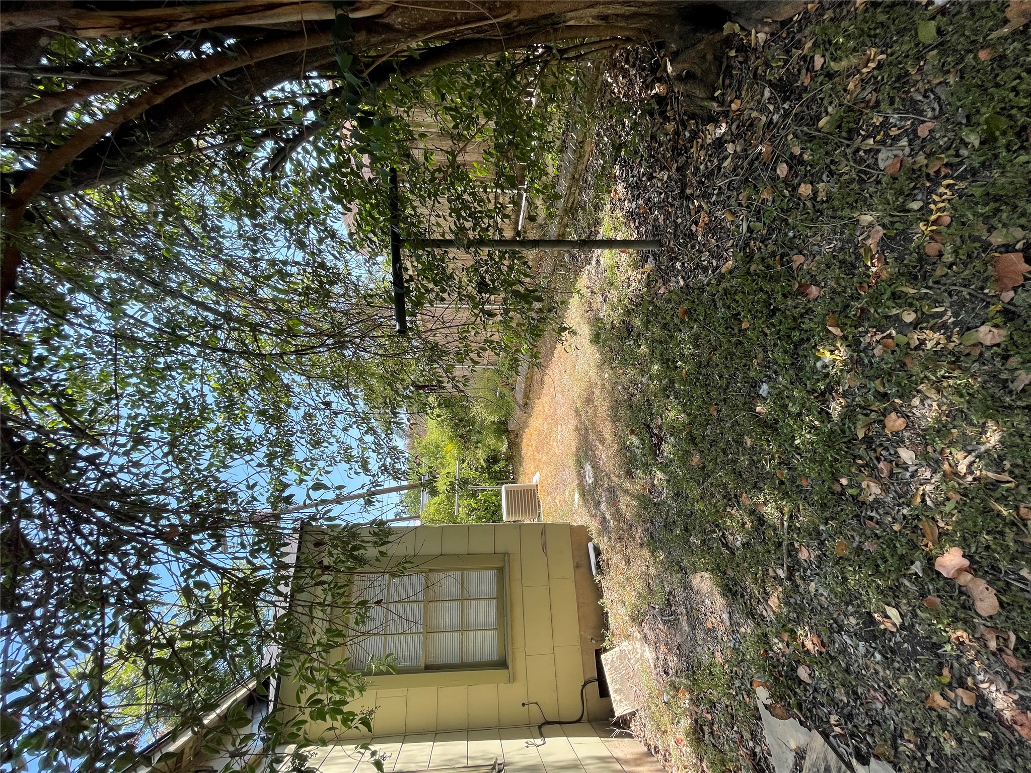 819 East 31st Street Austin, TX 78705 - Photo 19 of 19 a view of a backyard