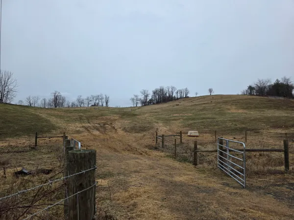 a view of a terrace with a yard