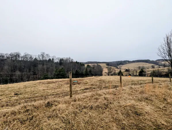 a backyard of a house with trees
