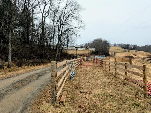 a view of a lake with a trees