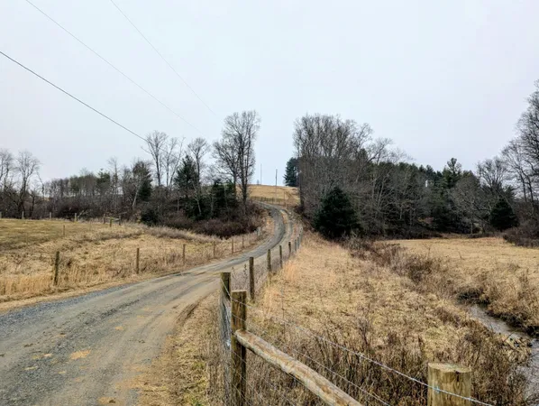 a view of a yard with trees