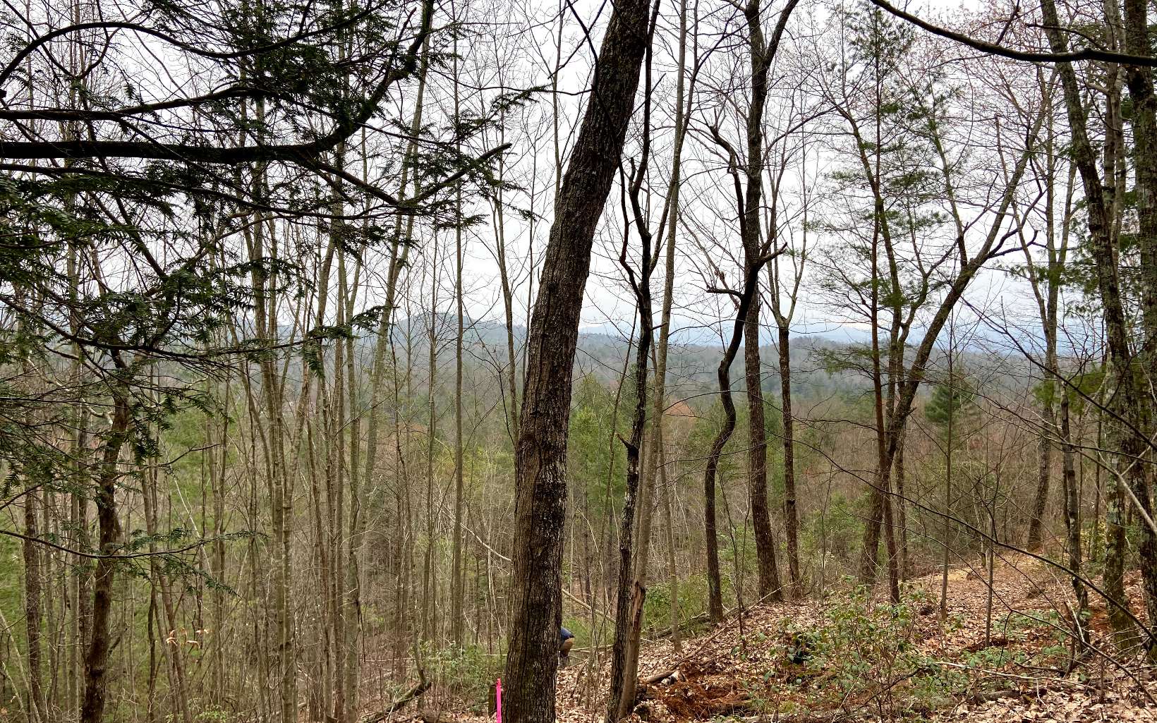 5 R Flagpole Circle Ellijay, GA 30540 - Photo 1 of 1 Main View