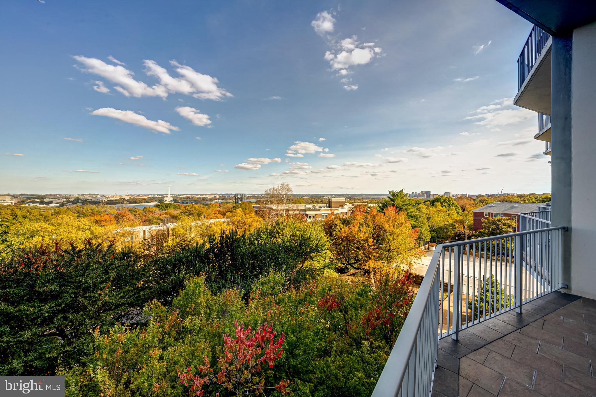 1200 North Nash Street, Unit 549 Arlington, VA 22209 - Photo 37 of 70 ...tree tops...