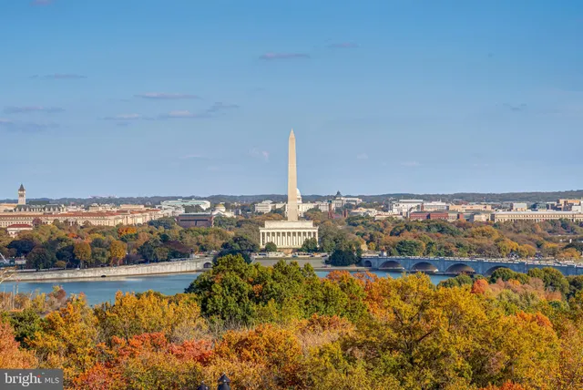 an outdoor space with seating area and trees
