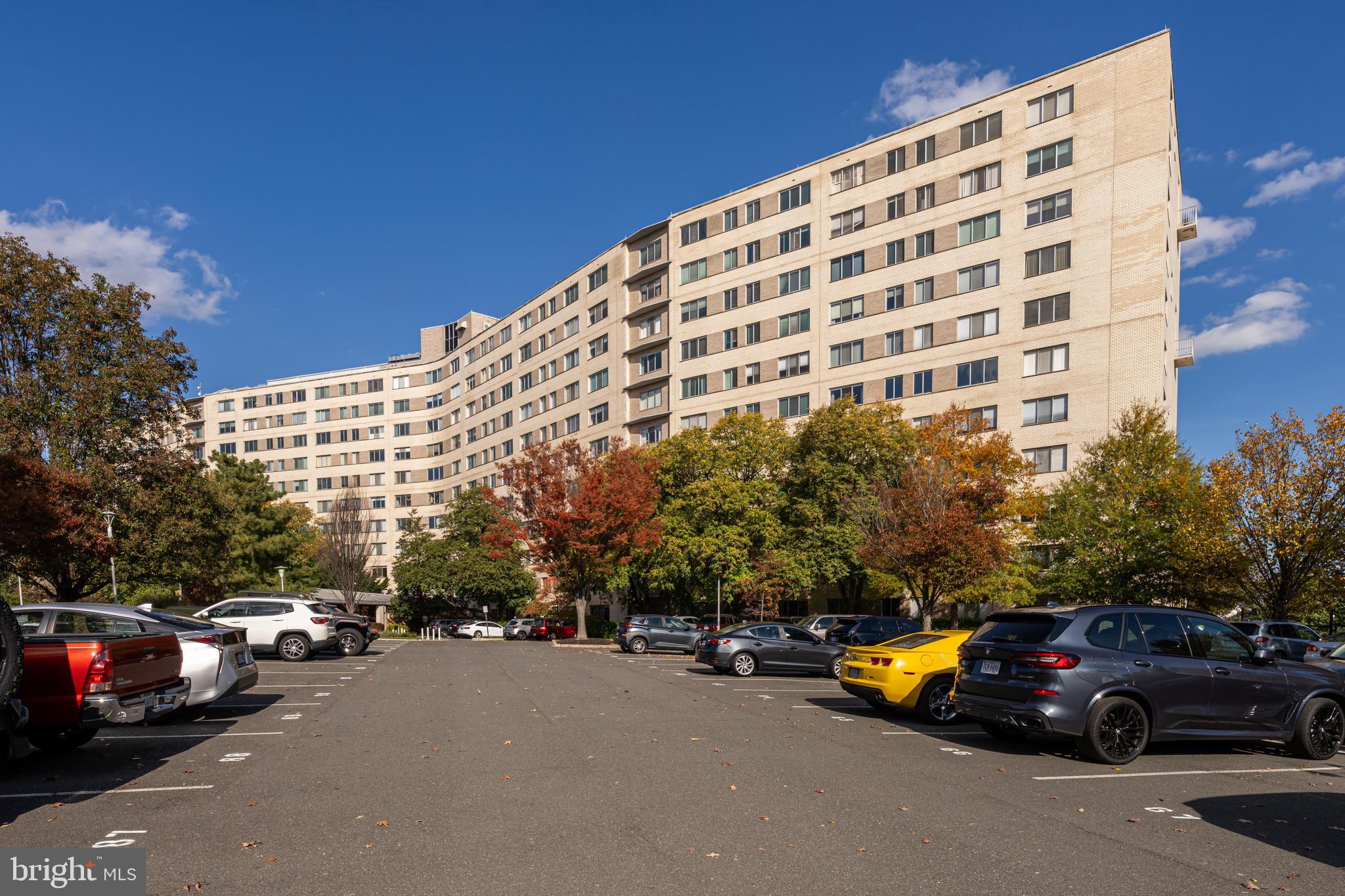 1200 North Nash Street, Unit 549 Arlington, VA 22209 - Photo 62 of 70 continues to thrive!