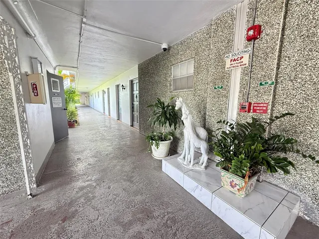 a view of a potted plants on a sidewalk