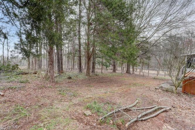 831 Wiley Lewis Road Greensboro, NC 27406 - Photo 19 of 20 View of Back yard