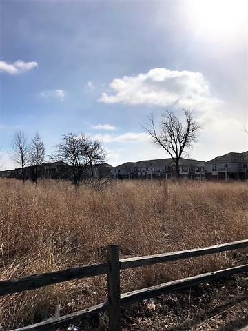 7520 Claridge Drive, Unit H Bridgeview, IL 60455 - Photo 16 of 17