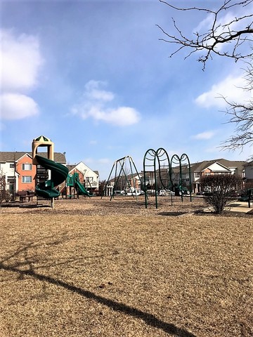 7520 Claridge Drive, Unit H Bridgeview, IL 60455 - Photo 17 of 17