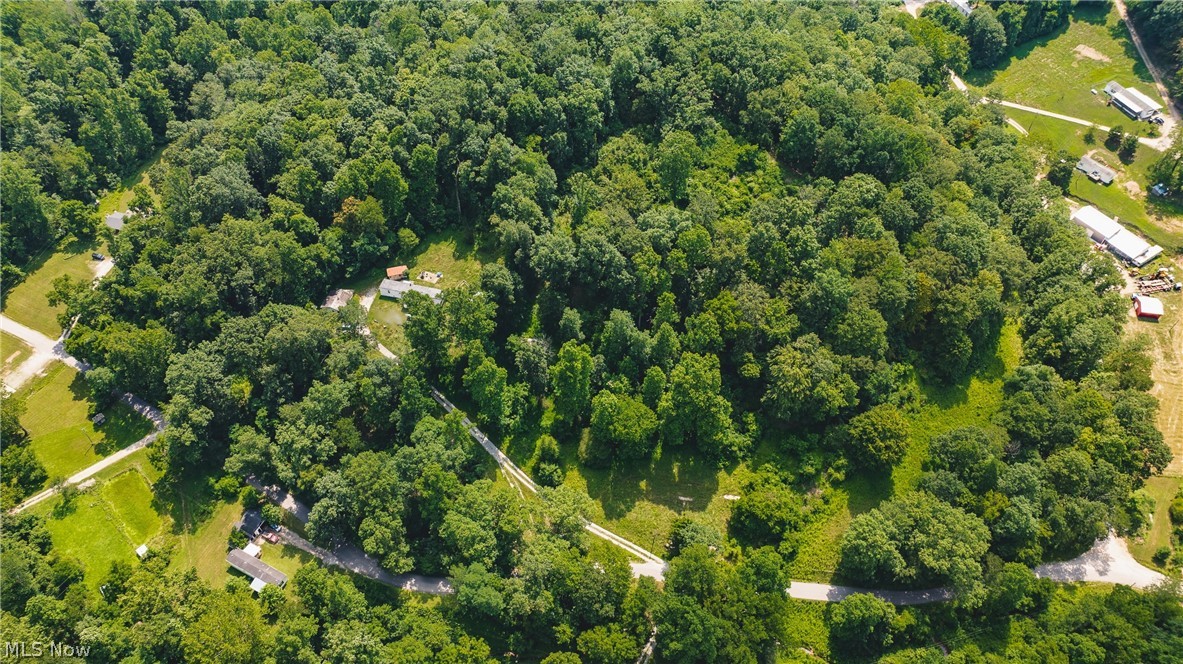 2361 Carpenter Run Road Waverly, WV 26184 - Photo 24 of 37