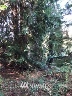 00 Watkins Road Freeland, WA 98249 - Photo 20 of 23
