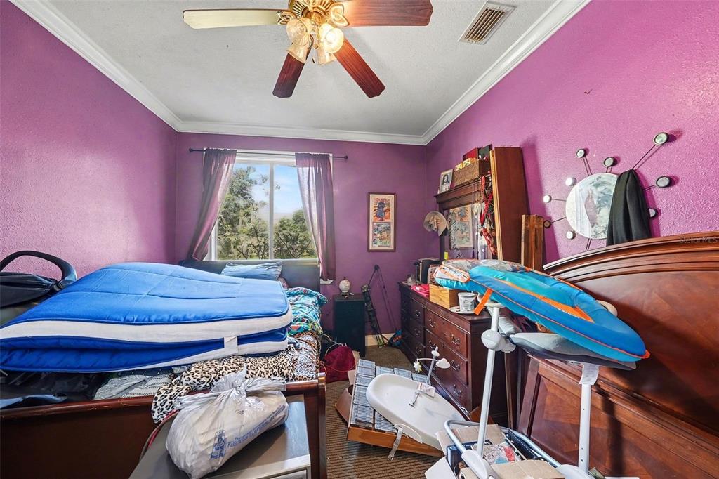 209 Dennison Road Lutz, FL 33549 - Photo 11 of 35